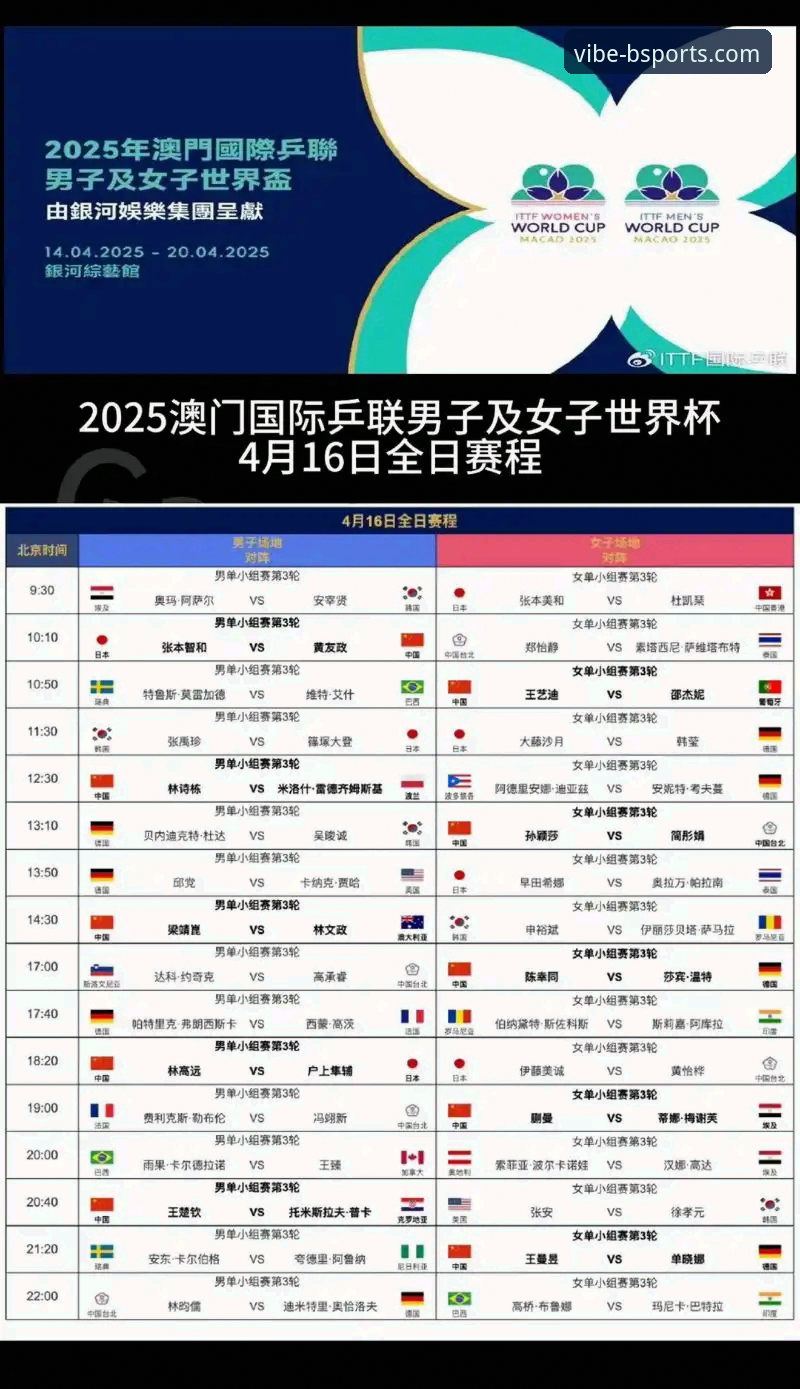 b体育平台2026全新版本深度评测：手机端功能与体验全面解析